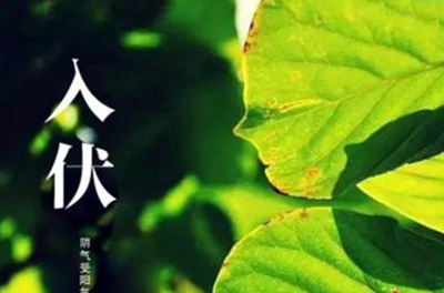 入伏在即，酷暑將至